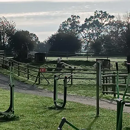 Les Ch'tis Normands ! * Litteau